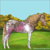 Horse Color:Painted Silver Bay Ice Tobiano 
