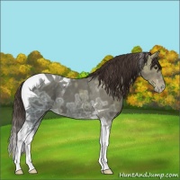 Horse Color:Liver Chestnut Ice Tobiano 