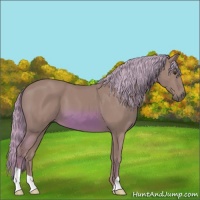Horse Color:Watercolor Chestnut 