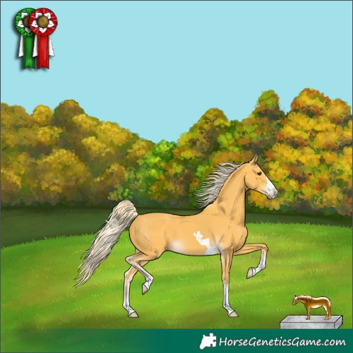 Horse Color:Palomino 