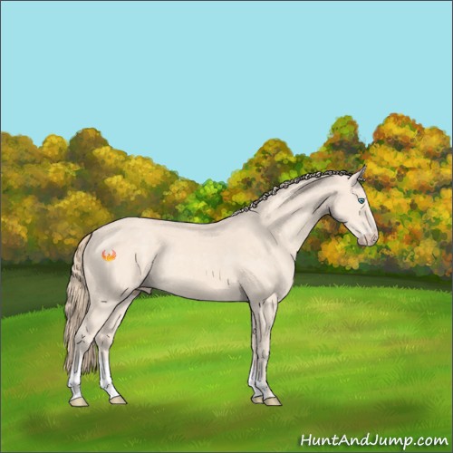 Horse Color:Perlino 