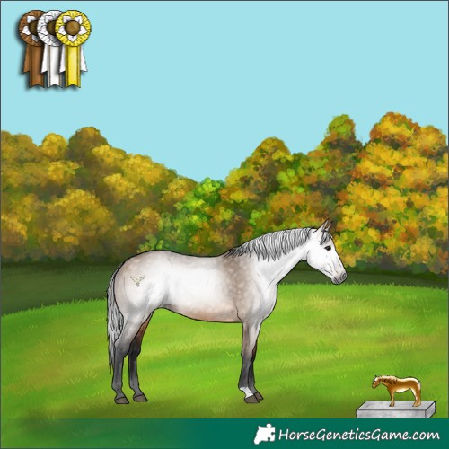 Horse Color:Gray Bay Dun 