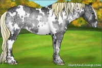 Horse Color:Painted White Spotted Silver Blue Onyx Chinchilla Ice Rabicano Brindle