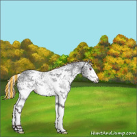 Horse Color:Painted White Spotted Chocolate Silver Bay Chinchilla Ice