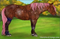 Horse Color:Painted Silver Brown Ice 