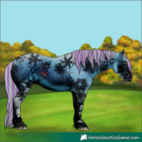 Horse Color:ERROR: UNKNOWN ANOMALY