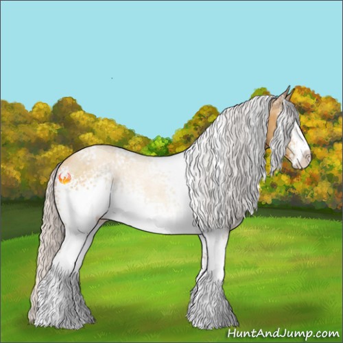 Horse Color:White Spotted Silver Sable Cream Champagne Sabino 