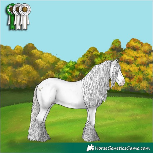 Horse Color:Silver Buckskin Sabino Splash 