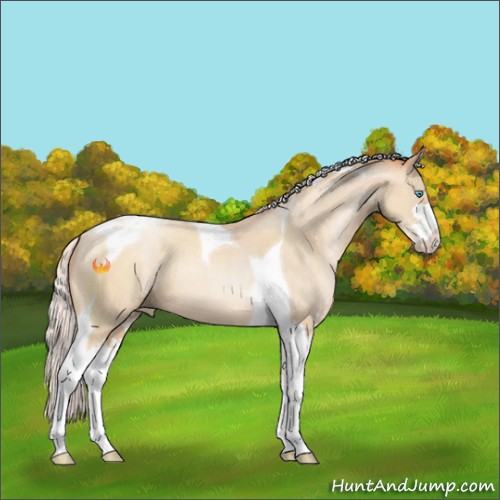 Horse Color:Silver Sable Cream Champagne Pearl Sabino Tobiano 