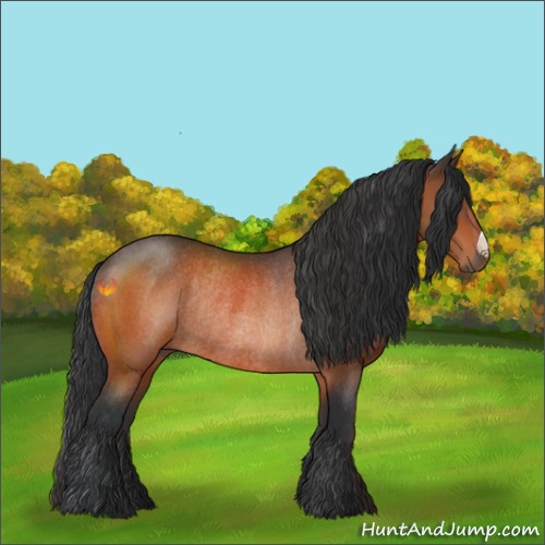 Horse Color:Bay Rabicano 