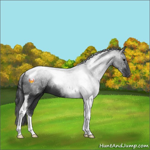 Horse Color:Black Tobiano 