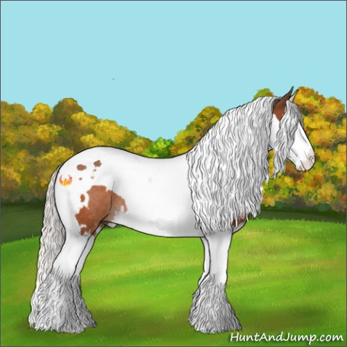 Horse Color:White Spotted Silver Brown Splash Tobiano Rabicano 