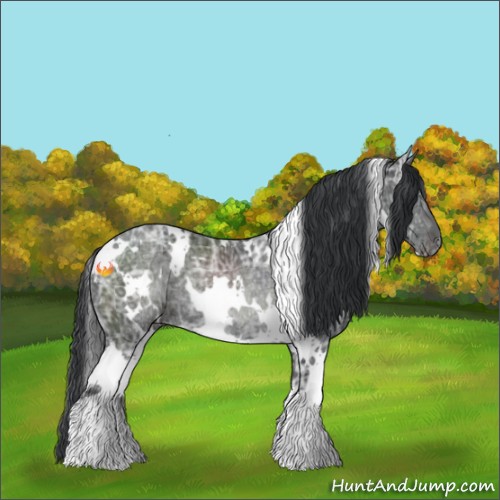 Horse Color:White Spotted Black Ice Rabicano