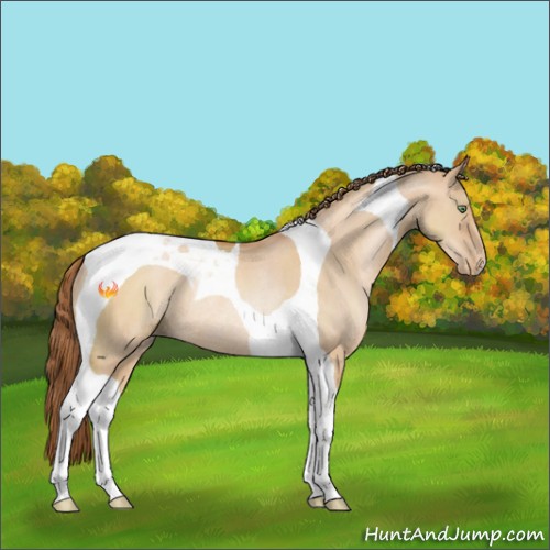 Horse Color:Brown Pearl Dun Tobiano Rabicano 