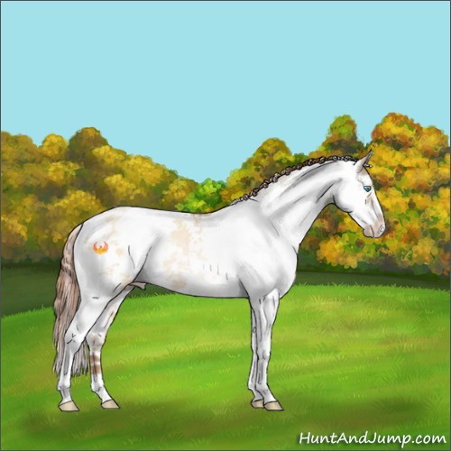 Horse Color:Buckskin Pearl Dun Sabino 