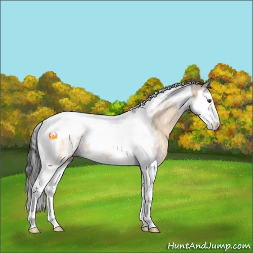 Horse Color:White Spotted Brown Dun Splash Tobiano 