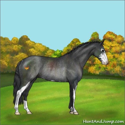 Horse Color:Black Sabino Rabicano 