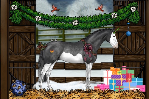 Horse Color:Black Splash Rabicano 