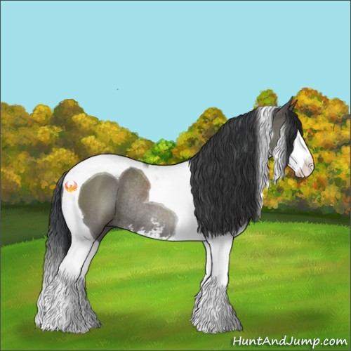 Horse Color:Grullo Sabino Splash Tobiano Rabicano 