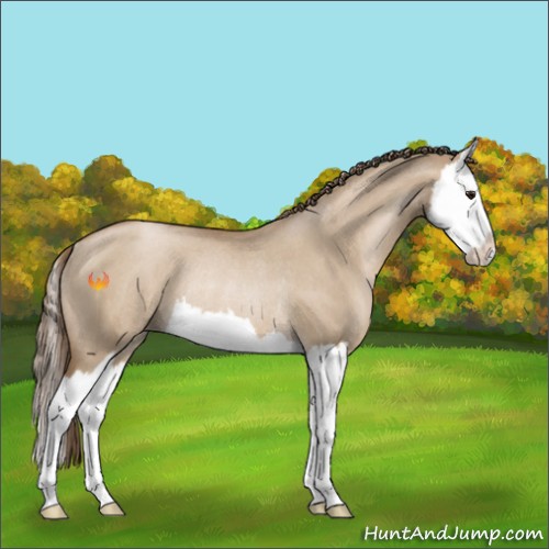 Horse Color:Grullo Pearl Sabino Splash Rabicano