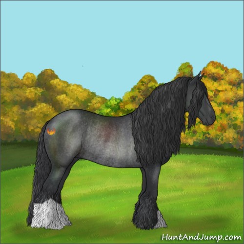 Horse Color:Black Rabicano