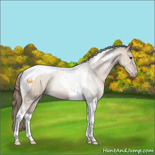 Horse Color:Black Pearl Tobiano Rabicano 