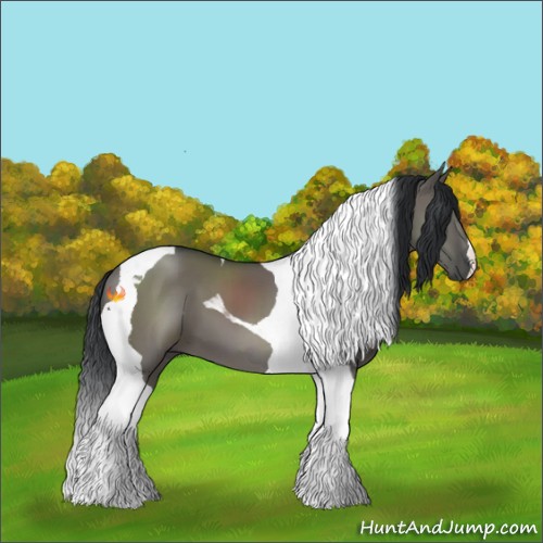Horse Color:Grullo Tobiano 