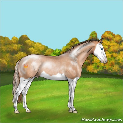 Horse Color:Brown Pearl Splash Rabicano 