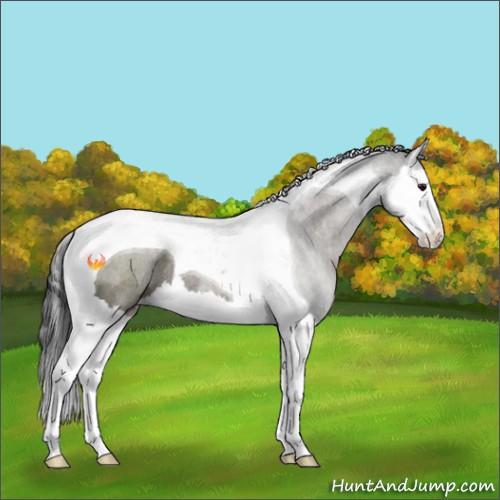 Horse Color:Grullo Sabino Splash Tobiano Rabicano 