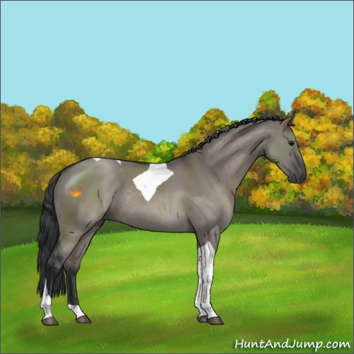 Horse Color:Grullo Tobiano Rabicano 