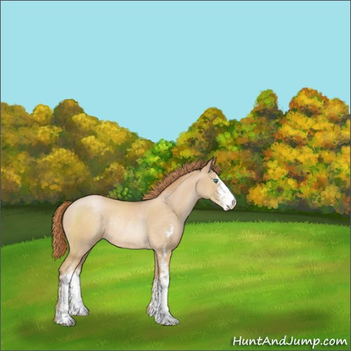 Horse Color:Smoky Black Pearl Sabino Rabicano 