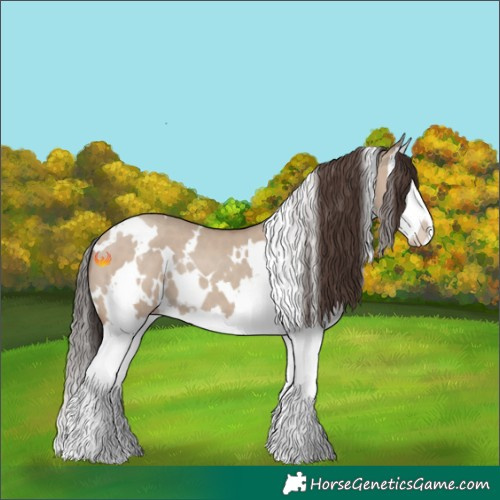 Horse Color:White Spotted Classic Champagne Dun Splash 