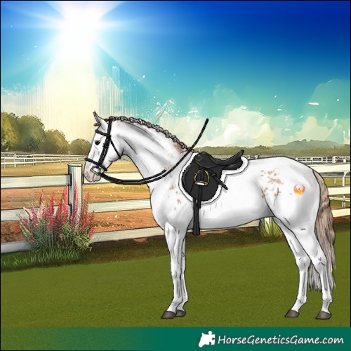 Horse Color:White Spotted Black Pearl Tobiano 