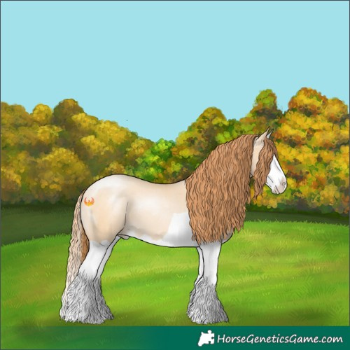 Horse Color:Buckskin Pearl Dun Splash 