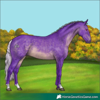 Horse Color:Watercolor Silver Brown Chinchilla 