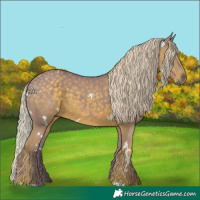 Horse Color:Watercolor White Spotted Silver Black