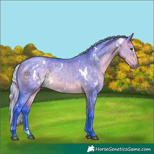Horse Color:Watercolor White Spotted Silver Buckskin Dun 