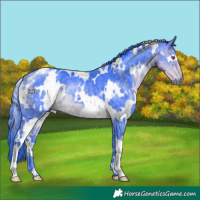 Horse Color:Watercolor White Spotted Buckskin Chinchilla 