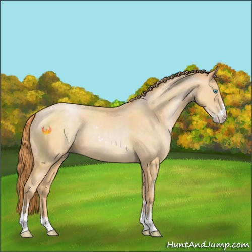 Horse Color:Buckskin Pearl Sabino 