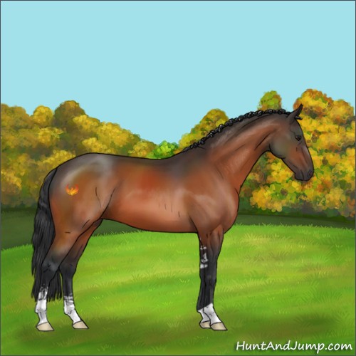 Horse Color:Brown Sabino 