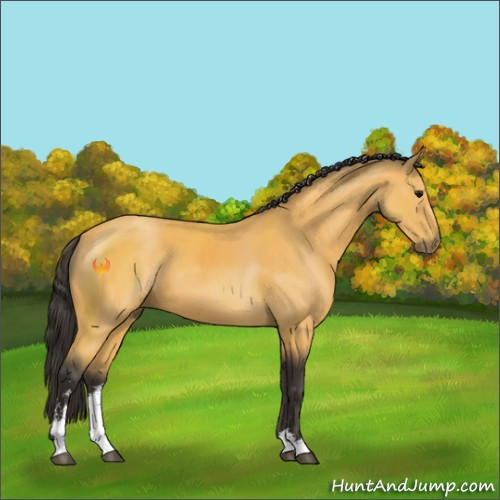 Horse Color:Buckskin Sabino 