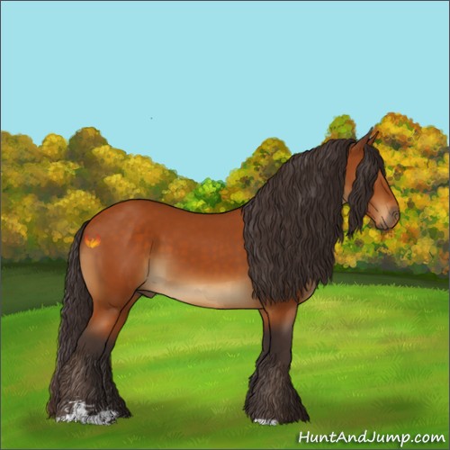 Horse Color:Buckskin Sabino 