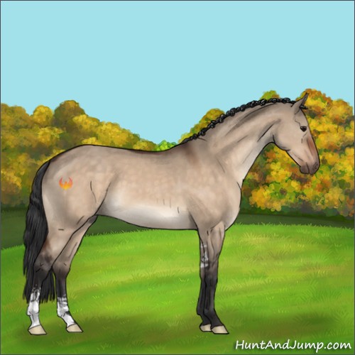 Horse Color:Bay Dun Sabino 