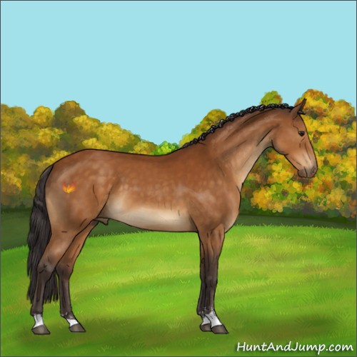 Horse Color:Buckskin Sabino 