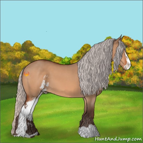 Horse Color:Silver Brown Dun Sabino 