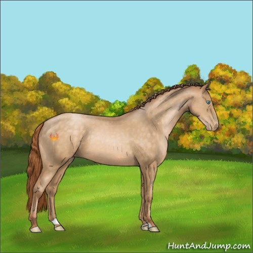 Horse Color:Buckskin Pearl Sabino 