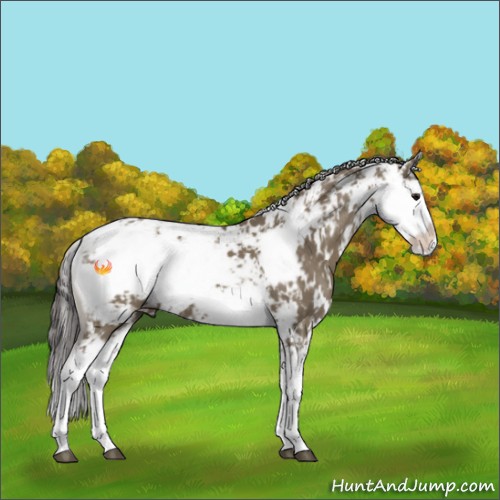 Horse Color:Smoky Grullo Sabino 