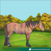 Horse Color:Nacre Bay 