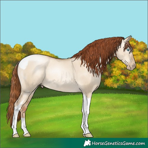 Horse Color:Gray Sable Cream Champagne Pearl Dun Tobiano 