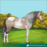 Horse Color:Gray Brown Dun Tobiano Varnish
